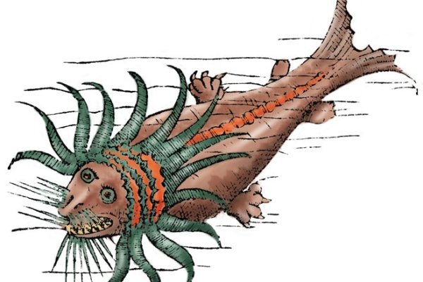 Kraken домен
