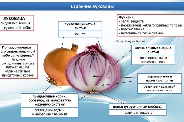 Кракен как зайти